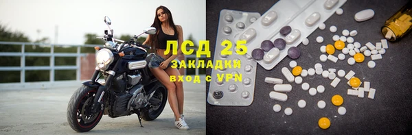 стаф Алзамай