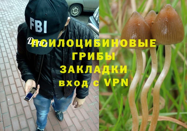 стаф Алзамай