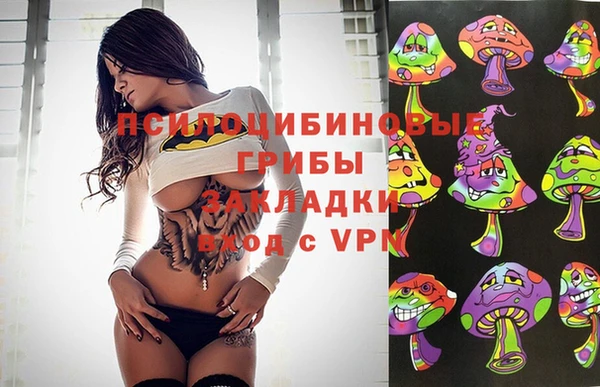дмт Алексеевка