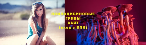 дмт Алексеевка