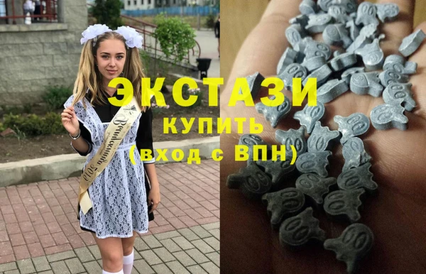 стаф Алзамай