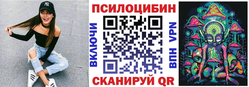 Галлюциногенные грибы Psilocybe  Пошехонье 